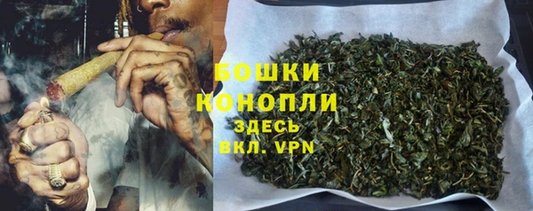 гидра Нефтегорск
