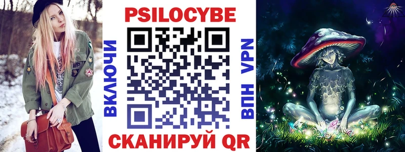 купить   Козловка  Галлюциногенные грибы GOLDEN TEACHER 